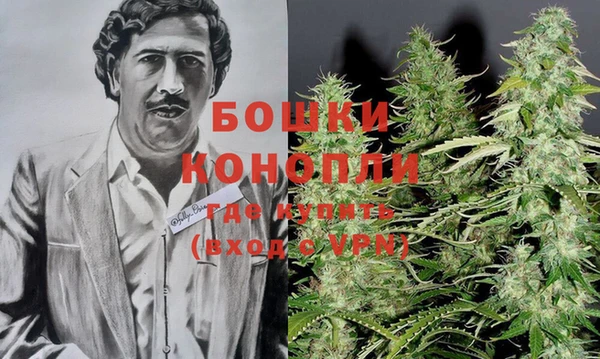 PSILOCYBIN Заволжье