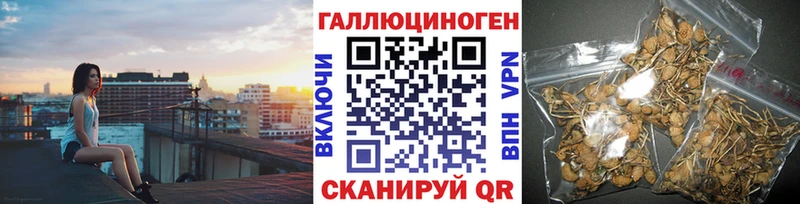 Галлюциногенные грибы Psilocybe  Купить закладки  Нахабино 