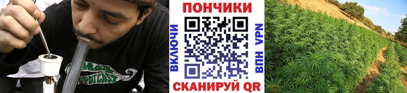 Купить закладки  Нахабино  Бошки марихуана LSD WEED 